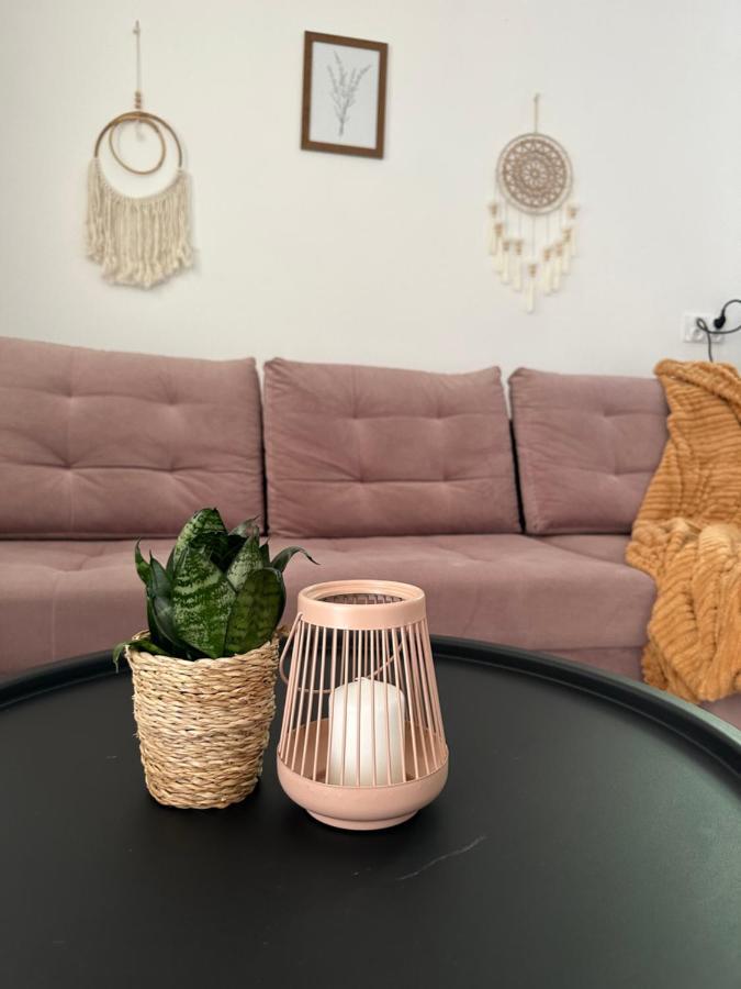 Apartmán Mr. Sowa Sokolec Ludwikowice Kłodzkie Exteriér fotografie
