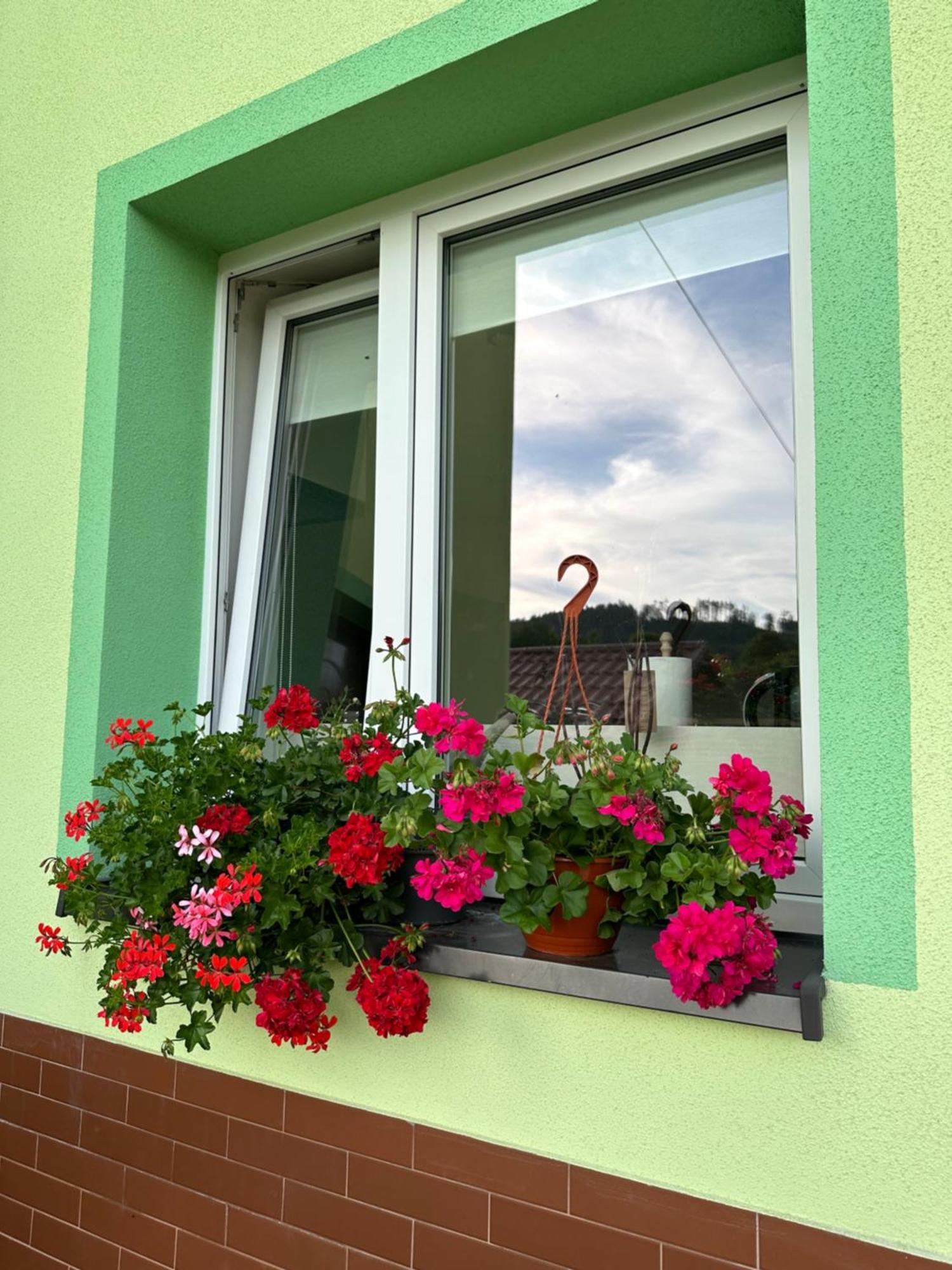 Apartmán Mr. Sowa Sokolec Ludwikowice Kłodzkie Exteriér fotografie