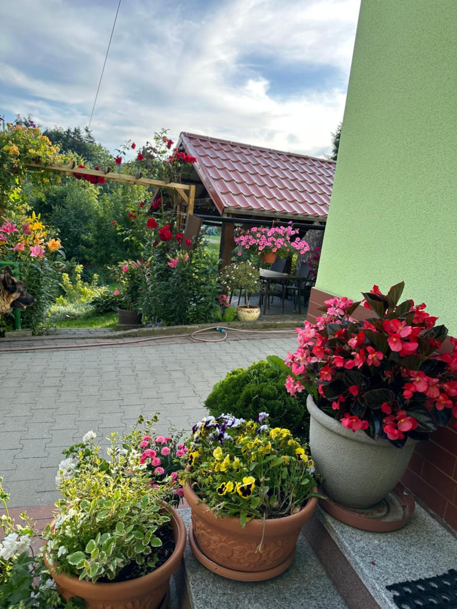 Apartmán Mr. Sowa Sokolec Ludwikowice Kłodzkie Exteriér fotografie